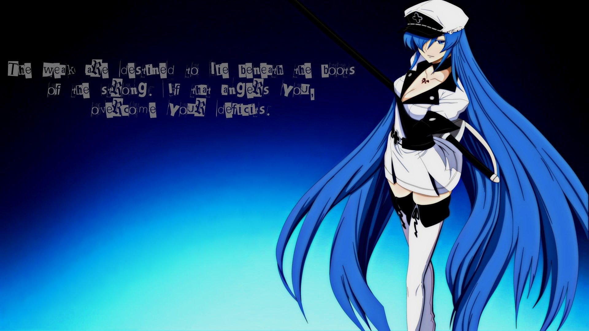 HD PC desktop wallpaper featuring Esdeath from Akame ga Kill!, showcasing her blue hair and military-style outfit against a gradient blue background.