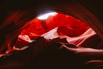 Sunlight illuminates the smooth, red sandstone formations inside Arizona’s Antelope Canyon, captured in stunning 4K Ultra HD for a nature-inspired desktop background.