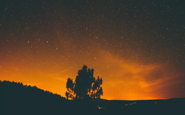 star starry sky sky orange (Color) silhouette nature night HD Desktop Wallpaper | Background Image