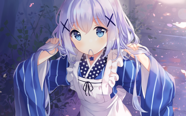 Anime Is the Order a Rabbit? Chino Kafū HD Wallpaper | Background Image