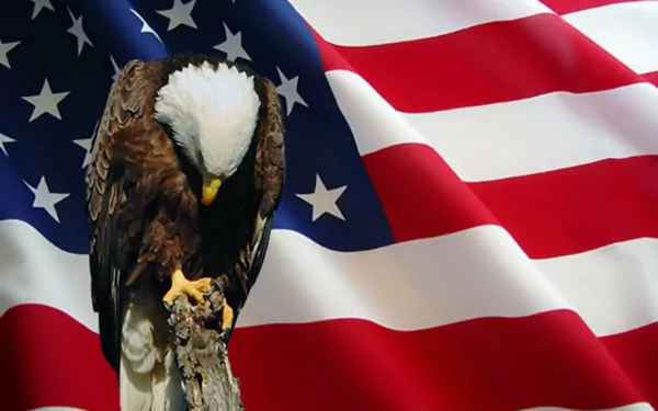 HD desktop wallpaper featuring a bald eagle perched with a bowed head against a waving American flag, symbolizing Memorial Day and patriotism.