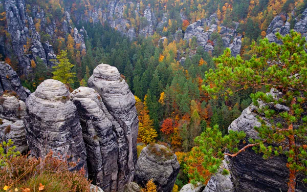 A 4K Ultra HD view of the Elbe Sandstone Mountains in Saxony, Germany, showcasing fall colors amidst sandstone formations and dense forest nature.