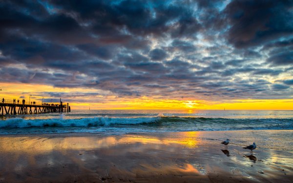 Photography Ocean Nature Horizon Pier Sunset Cloud HD Wallpaper | Background Image