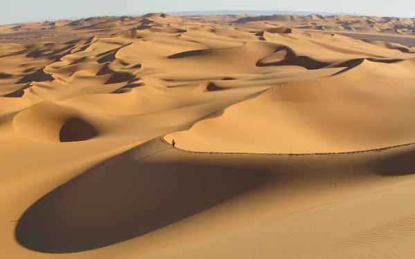 Vast golden sand dunes of Tassili N'Ajjer in the Sahara Desert, Algeria, showcasing natural desert beauty under a clear sky.