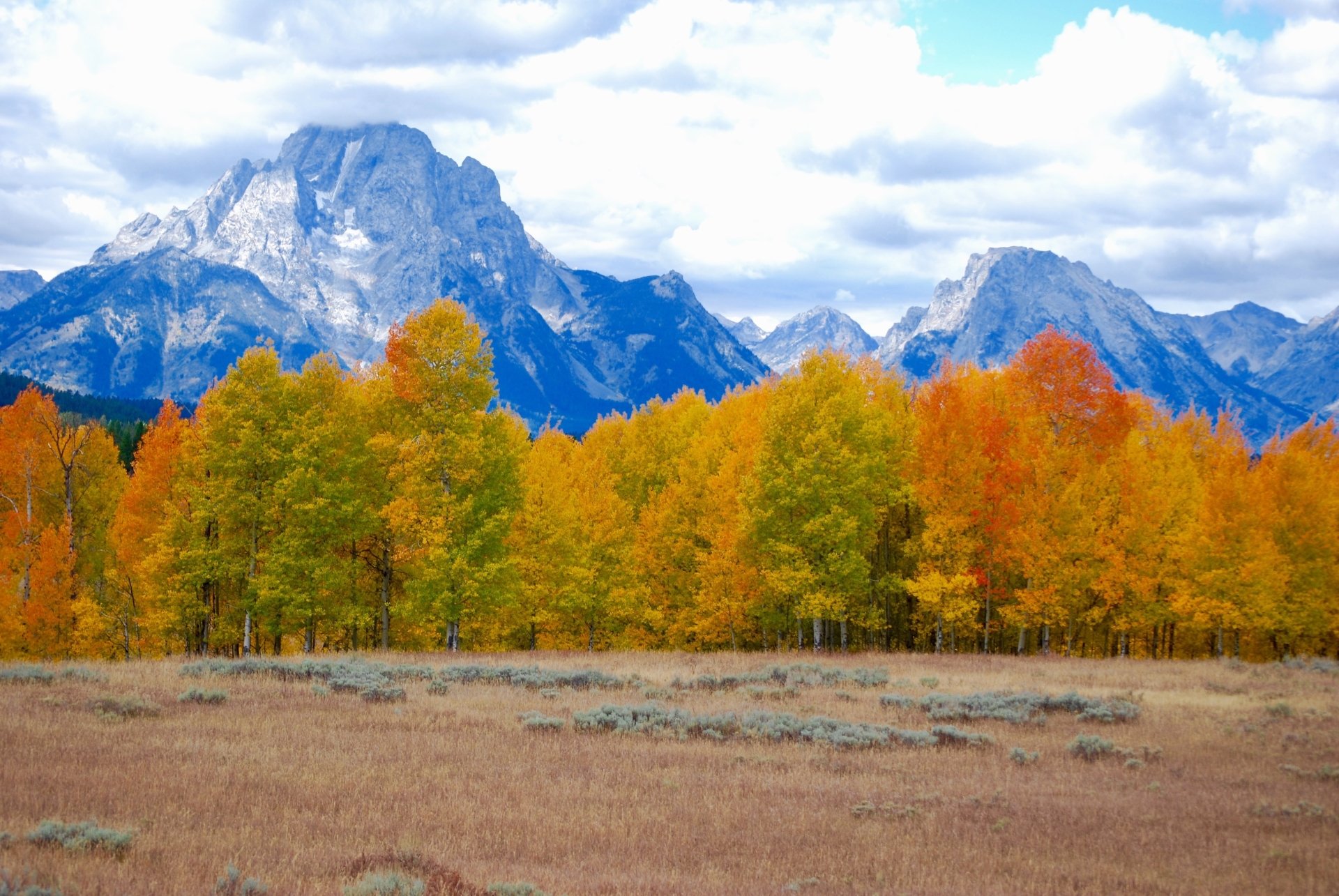 Download Cloud Tree Fall Nature Mountain 4k Ultra HD Wallpaper