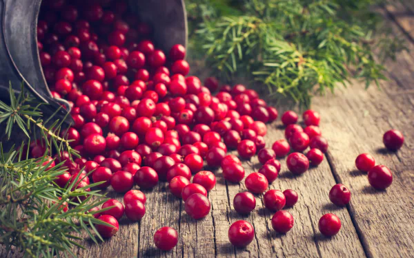 still life berry fruit food cranberry HD Desktop Wallpaper | Background Image