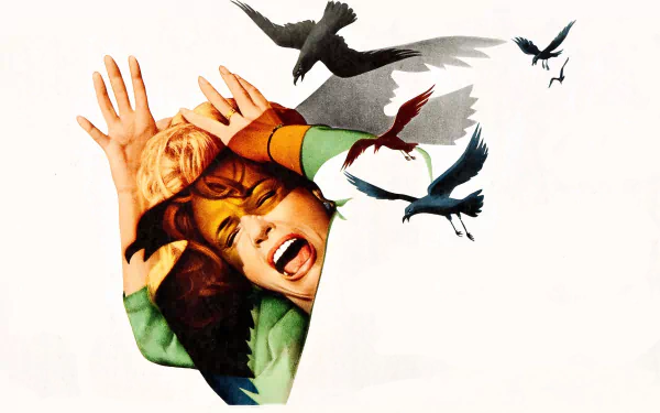 movie The Birds HD Desktop Wallpaper | Background Image