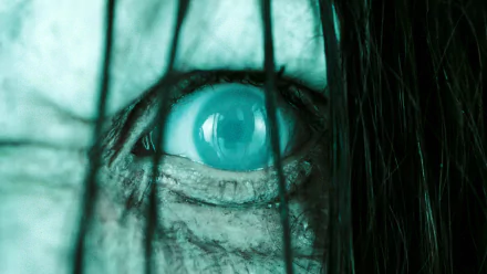 movie The Ring (2002) HD Desktop Wallpaper | Background Image