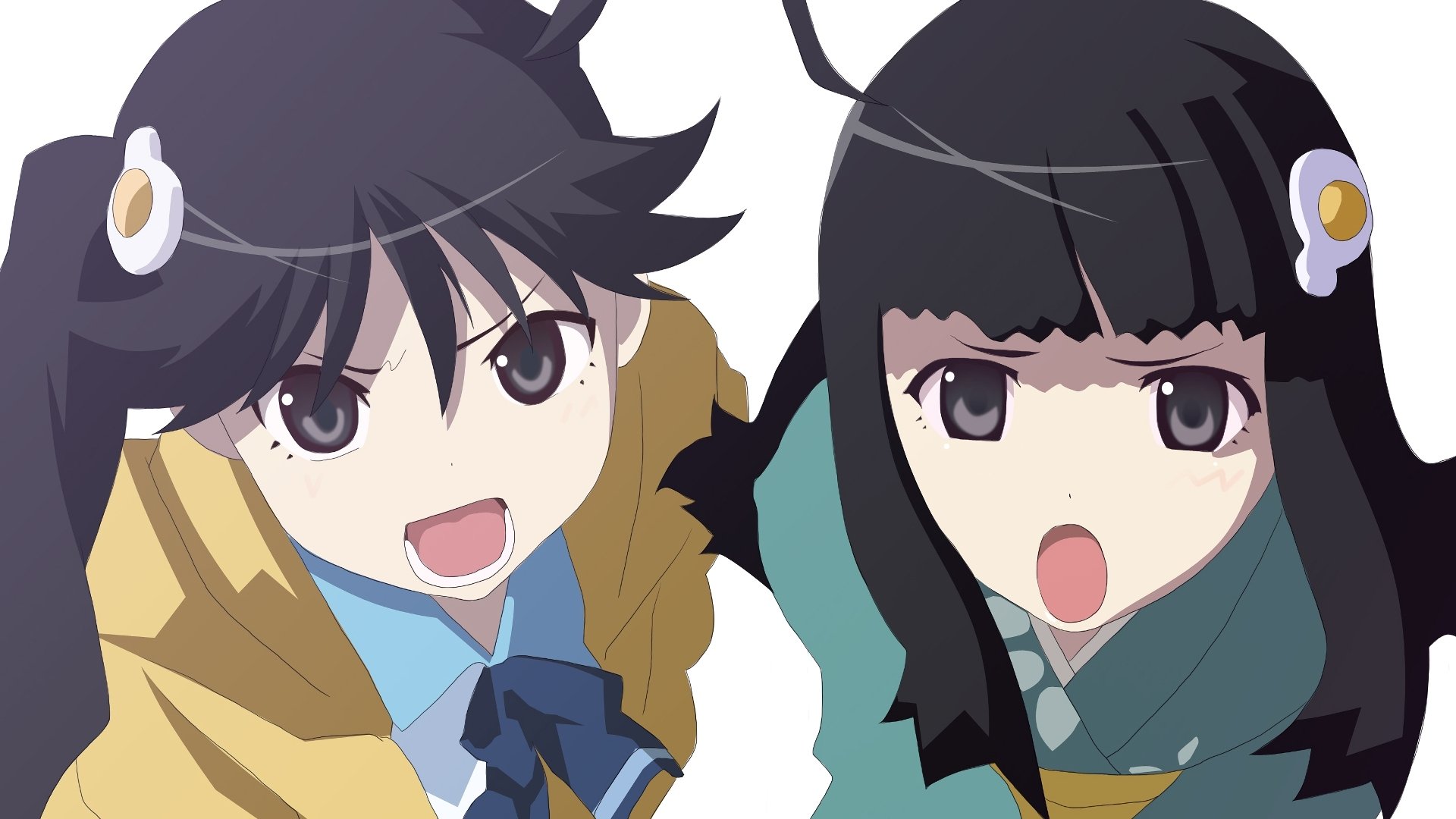 HD anime wallpaper featuring Tsukihi Araragi and Karen Araragi from the Monogatari series, showcasing their long hair and expressive faces in vibrant colors.