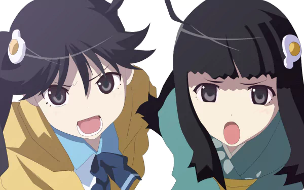 HD anime wallpaper featuring Tsukihi Araragi and Karen Araragi from the Monogatari series, showcasing their long hair and expressive faces in vibrant colors.