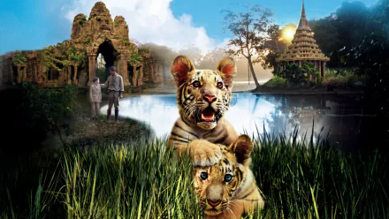 movie Two Brothers HD Desktop Wallpaper | Background Image