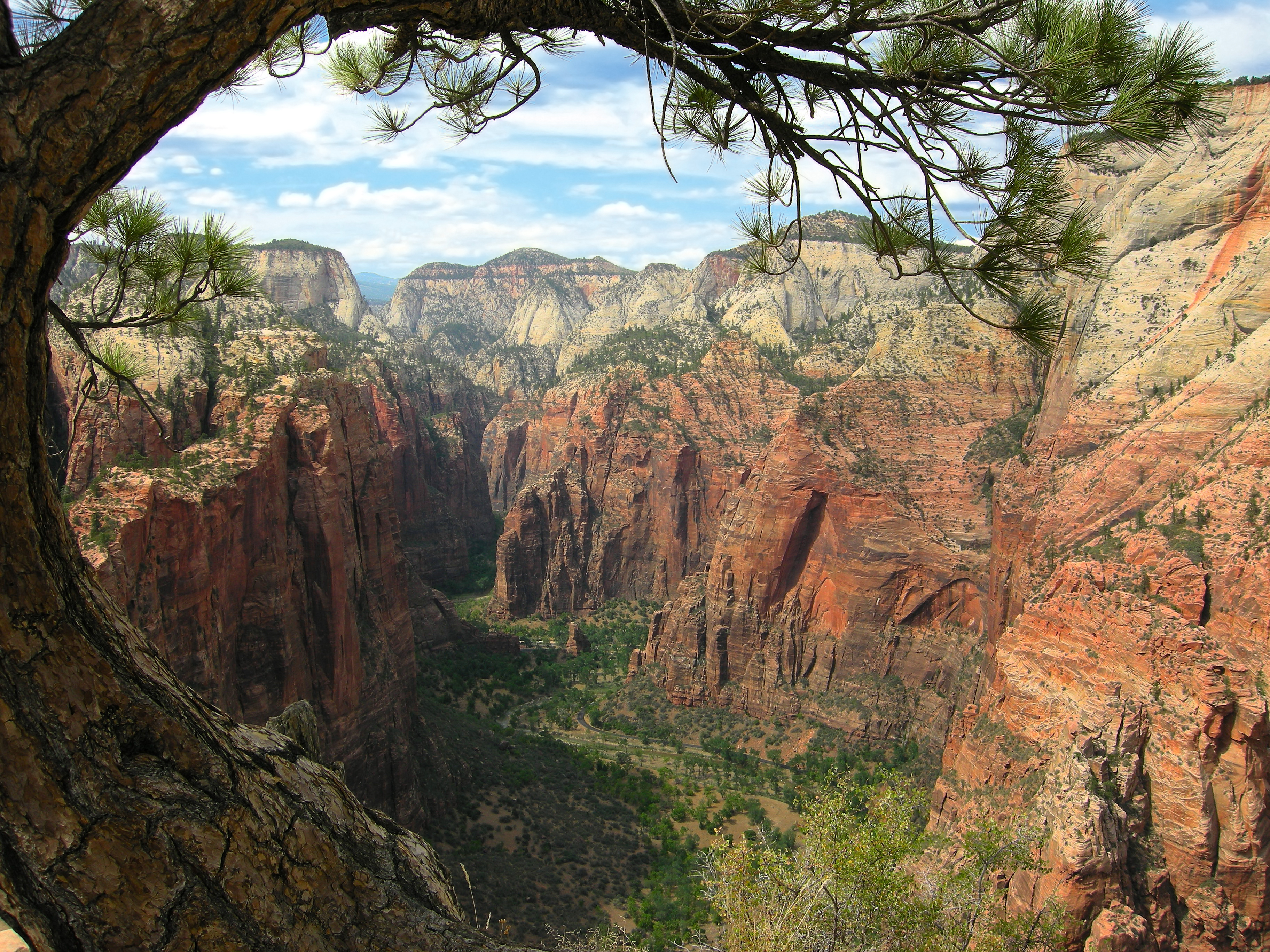 View from Angel's Landing in Zion National Park in Utah