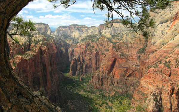 A breathtaking view of Zion National Park in Utah, showcasing dramatic red rock canyons under a blue sky, framed by vibrant green foliage. A stunning nature scene for desktop backgrounds.
