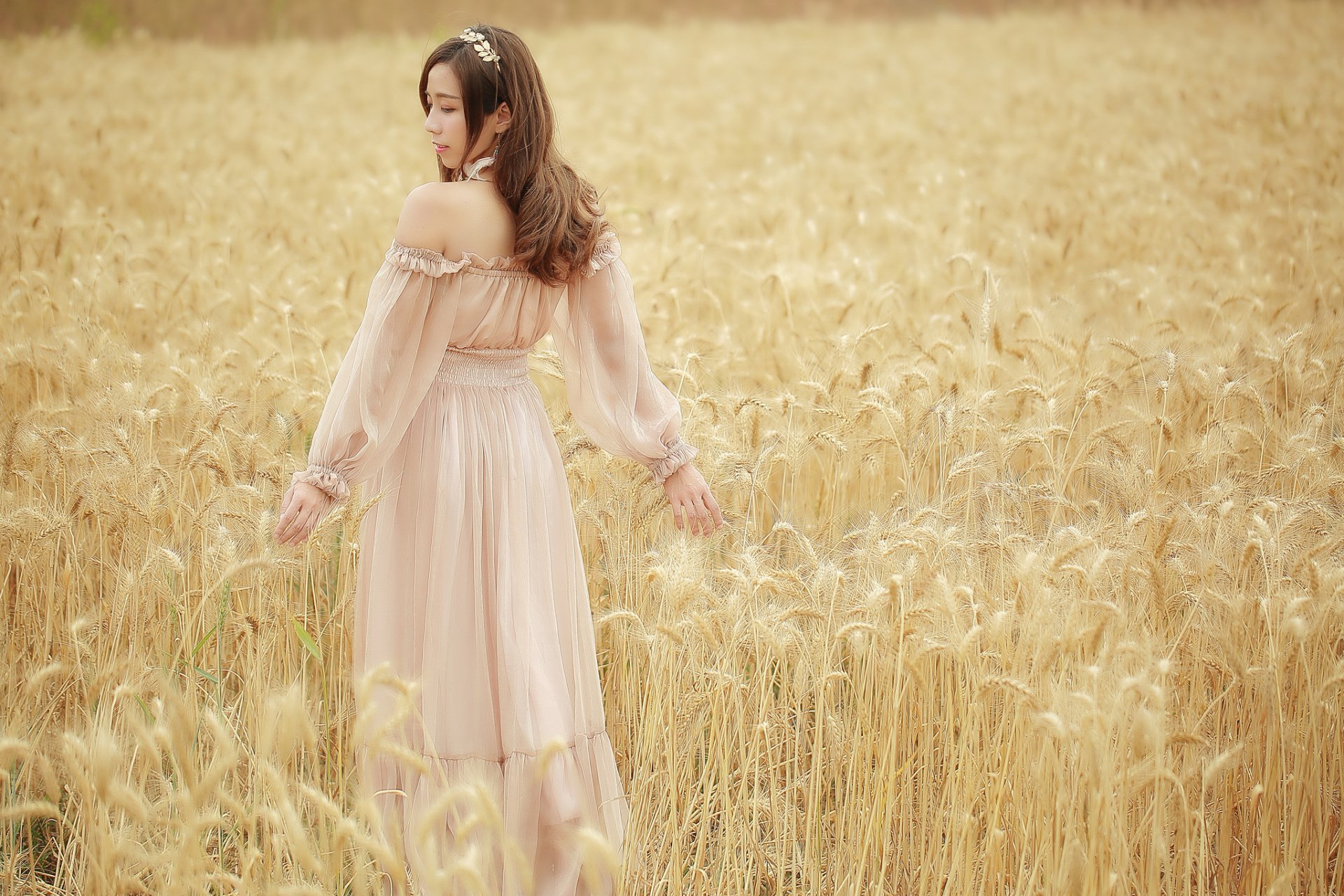 Девушка в платье летом в поле пшеницы