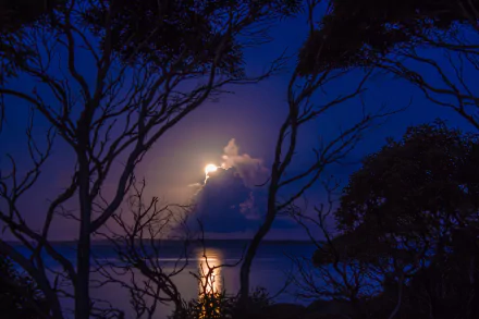 HD desktop wallpaper of a serene night scene featuring a bright moon illuminating clouds in a deep blue sky, framed by silhouetted trees, with their reflections shimmering on the calm water below.