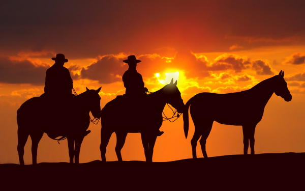 Photography Cowboy Silhouette Horse Sunset HD Wallpaper | Background Image
