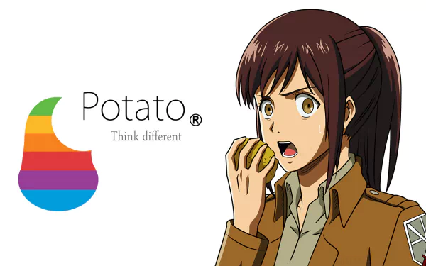 Sasha Blouse Anime Attack on Titan HD Desktop Wallpaper | Background Image