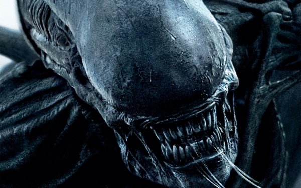 Movie Alien: Covenant Alien Xenomorph HD Wallpaper | Background Image