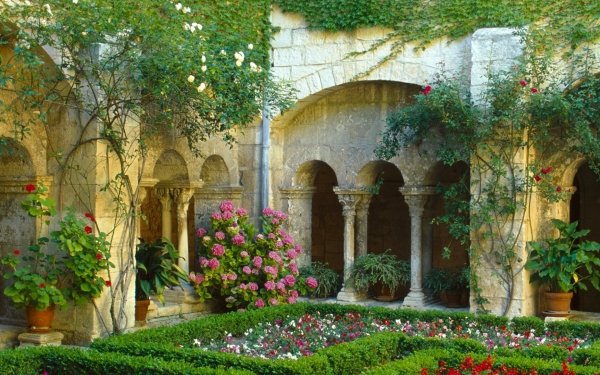 Hecho por el hombre Jardín Courtyard Arco natural Primavera Flor Planta Ivy Fondo de pantalla HD | Fondo de Escritorio