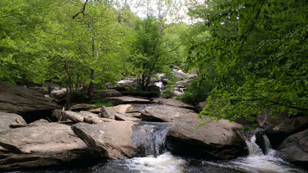 tree nature North Carolina Hebron Falls waterfall HD Desktop Wallpaper | Background Image