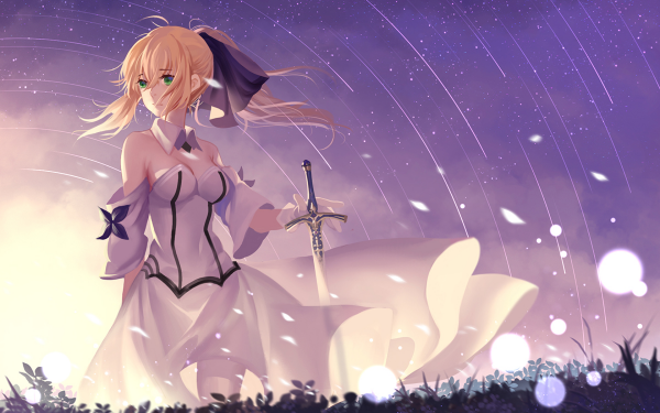 Anime Fate/Grand Order Fate Series Saber Saber Lily HD Wallpaper | Background Image