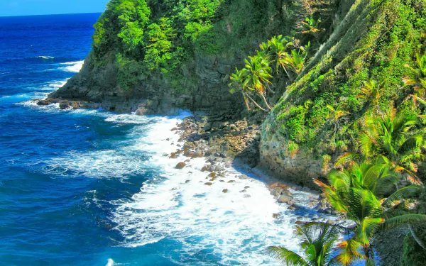 Caribbean Coastline