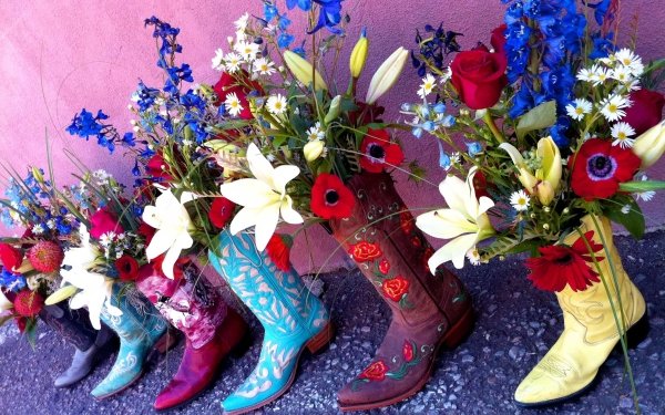 Man Made Flower Colors Colorful Boots Blue Flower Red Flower White Flower HD Wallpaper | Background Image