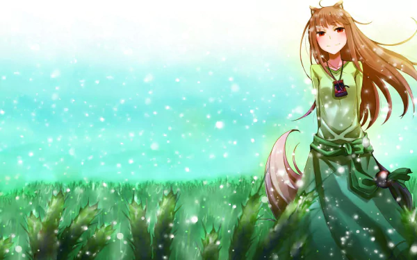 HD anime desktop wallpaper featuring Holo from Spice & Wolf standing in a glowing grassy field with a serene turquoise sky background.