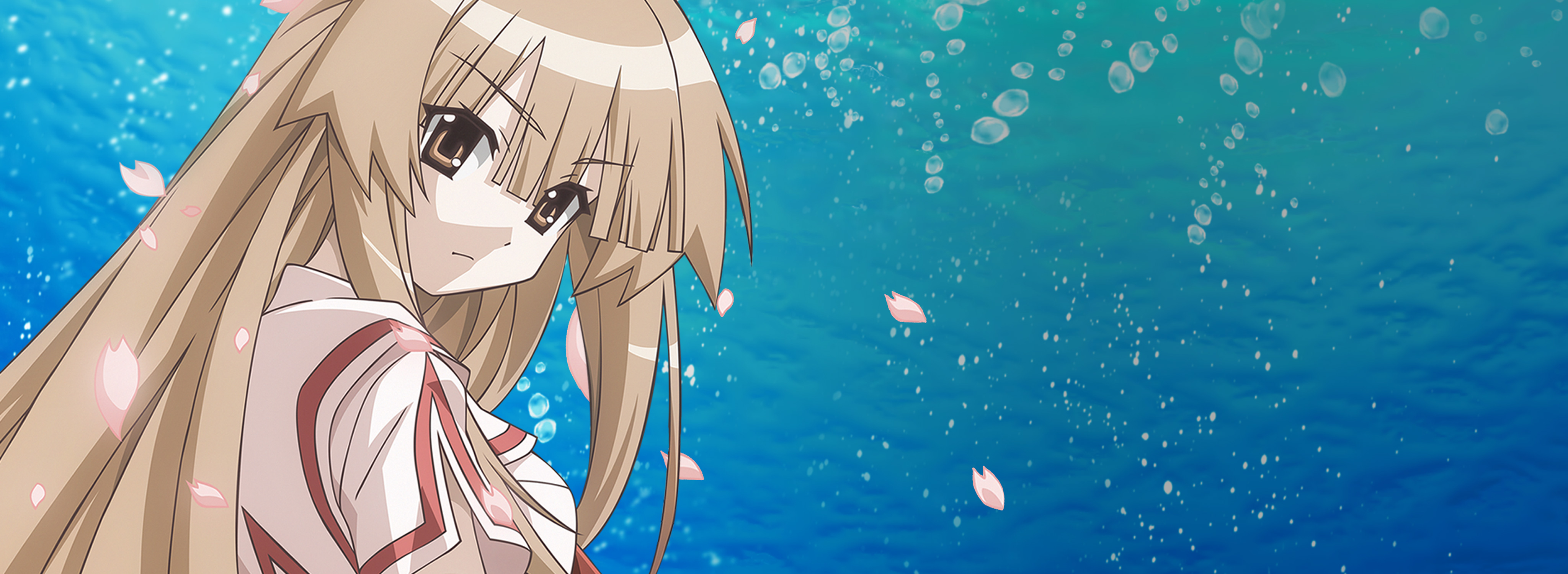 Anime Seto No Hanayome HD Wallpaper | Background Image