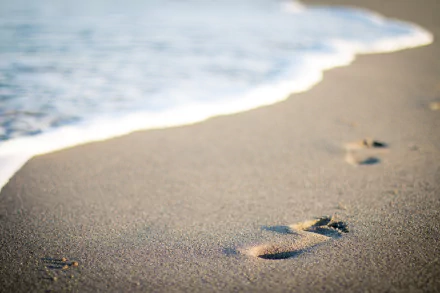 blur nature sand footprint beach HD Desktop Wallpaper | Background Image