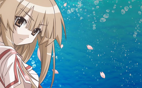 Seto No Hanayome Hd Wallpaper Background Image 00x1380