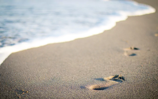 blur nature sand footprint beach HD Desktop Wallpaper | Background Image