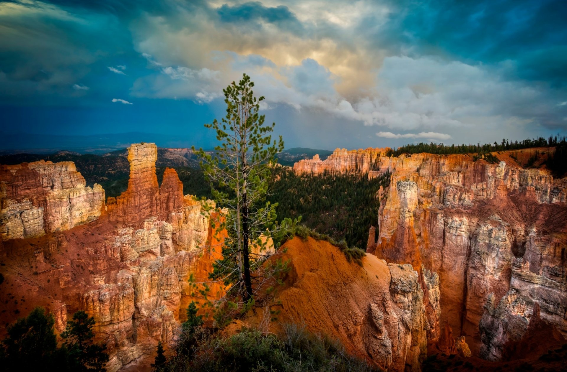 Download Tree Cloud Canyon Nature Bryce Canyon National Park HD Wallpaper