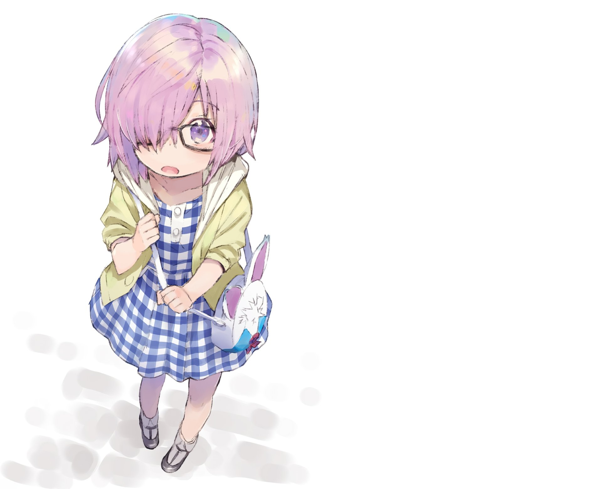 HD PC desktop wallpaper featuring Mashu Kyrielight from the anime Fate/Grand Order in a cute blue checkered dress holding a rabbit-shaped bag.