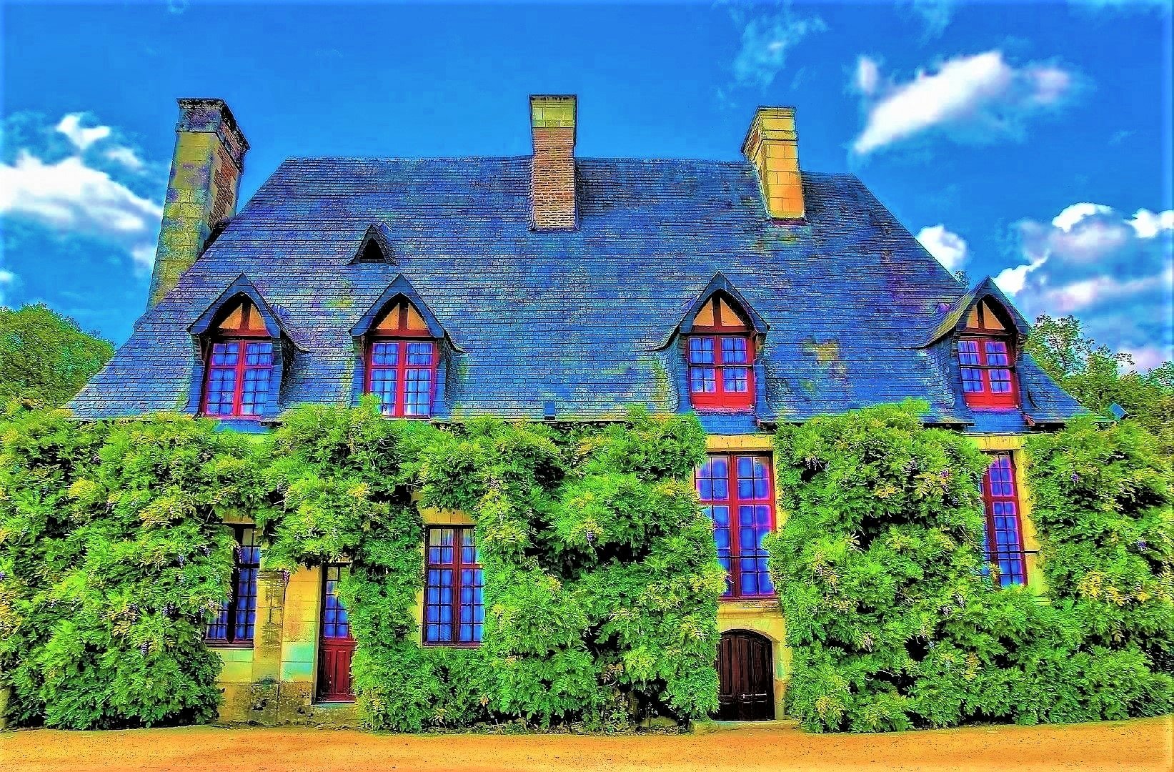 Download Green Ivy Man Made House Wallpaper