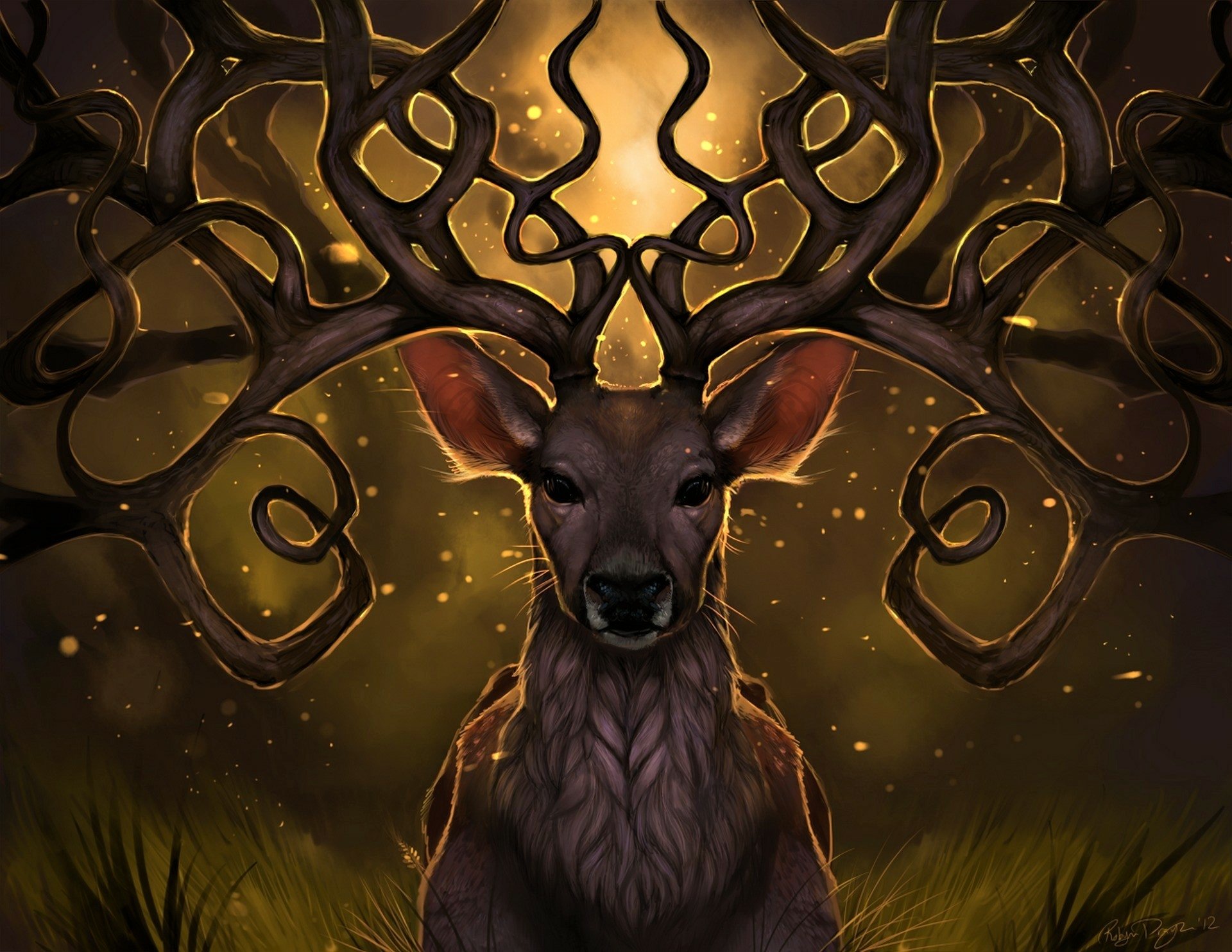 21 buck hd wallpapers background images wallpaper abyss buck hd wallpapers background images