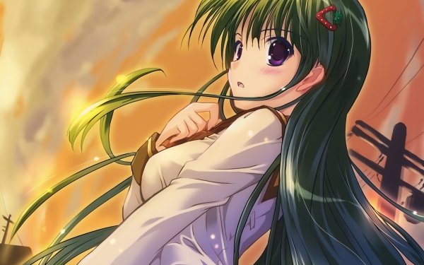 Anime Original Long Hair Green Hair Blush Purple Eyes HD Wallpaper | Background Image