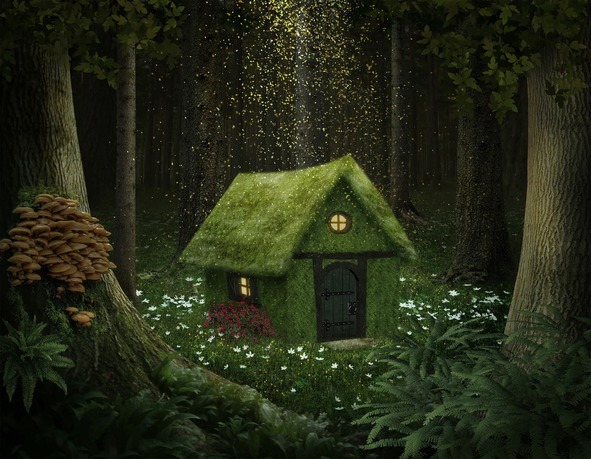 Home - The Enchanted Forest