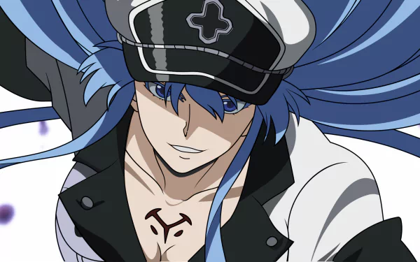 Esdeath from *Akame Ga Kill!* is featured in this HD desktop wallpaper, showcasing her striking blue hair and commanding presence in an anime-inspired design.