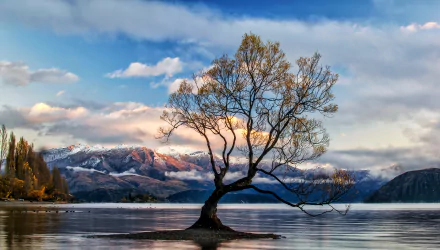 HD desktop wallpaper featuring a serene landscape of Lake Wanaka, New Zealand, with a solitary tree in the foreground, snow-capped mountains, and a sky dotted with clouds. The scene evokes a peaceful autumn atmosphere.