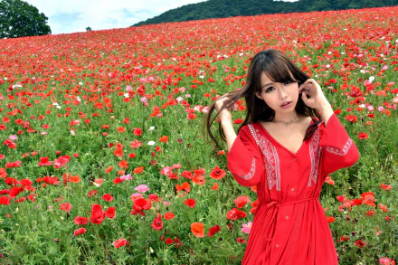 red flower poppy summer flower field red dress brown eyes brunette model woman asian HD Desktop Wallpaper | Background Image