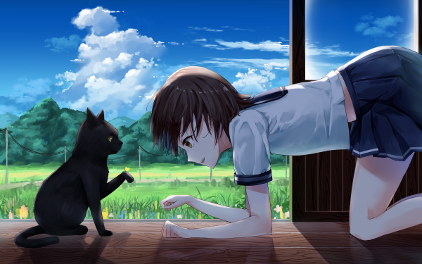 Anime Original Cat HD Wallpaper | Background Image