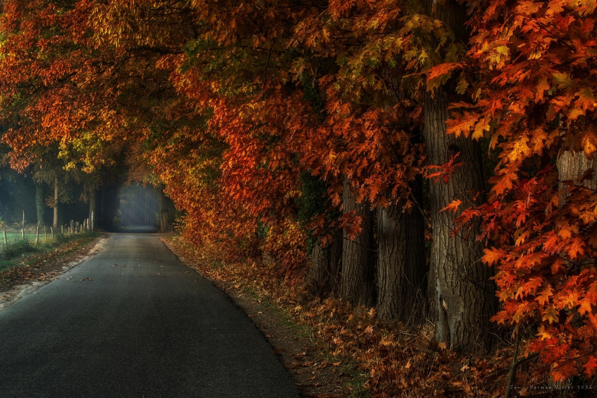 HD desktop wallpaper showing a peaceful road lined with trees in vibrant fall hues, capturing rich autumn colors and serene natural beauty.