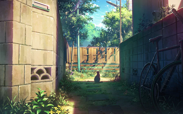 An anime-style HD desktop wallpaper depicting a sunlit alley with a bicycle, shadows, trees, flowers, and a black cat sitting calmly among bushes.
