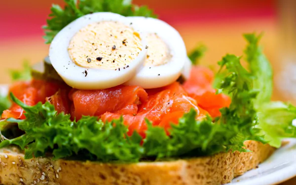 lettuce salmon egg food sandwich HD Desktop Wallpaper | Background Image