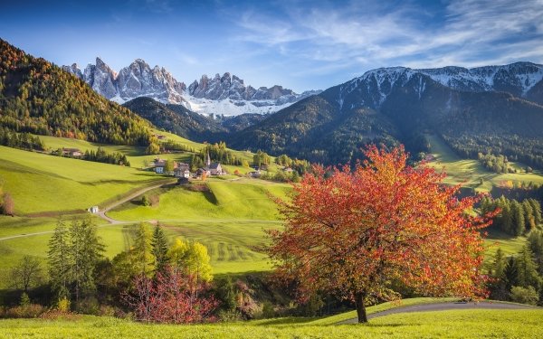 Photography Landscape Italy Trentino Alps Tree Fall Mountain HD Wallpaper | Background Image