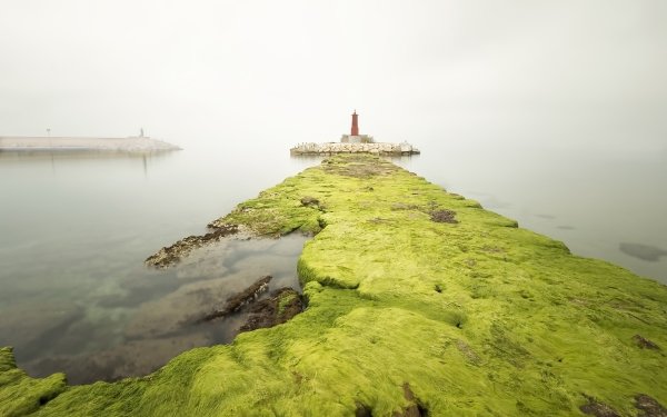 Man Made Lighthouse Moss Fog Ocean HD Wallpaper | Background Image