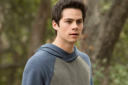 HD desktop wallpaper and background featuring a focused Dylan O'Brien in a hoodie against a natural backdrop.