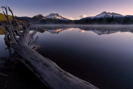 HD desktop wallpaper of a serene mountain lake at dusk, with driftwood in the foreground and crystal-clear reflections of snow-capped peaks in the calm water.