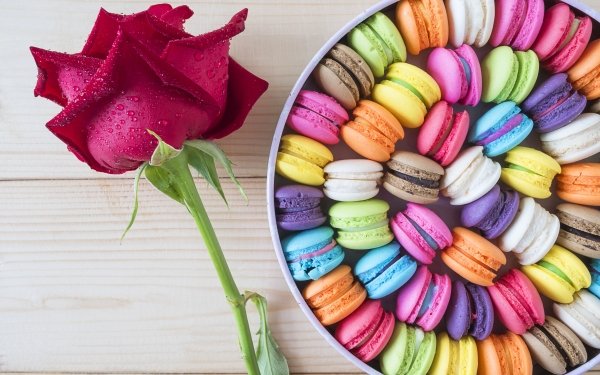 Food Macaron Colors Sweets Flower Rose HD Wallpaper | Background Image